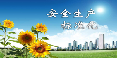安全生產(chǎn)標(biāo)準(zhǔn)化 - 副本.jpg 安全生產(chǎn)標(biāo)準(zhǔn)化 - 副本.jpg