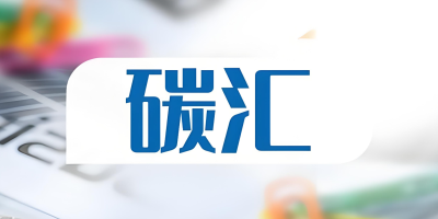 什么是碳匯？